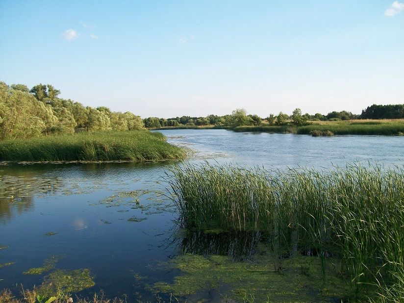 Река Цна