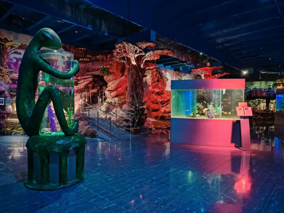 Океанариум Ocean Park