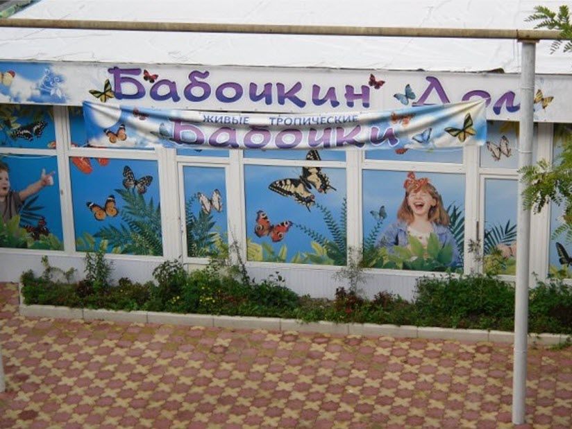 Выставка «Бабочкин дом»