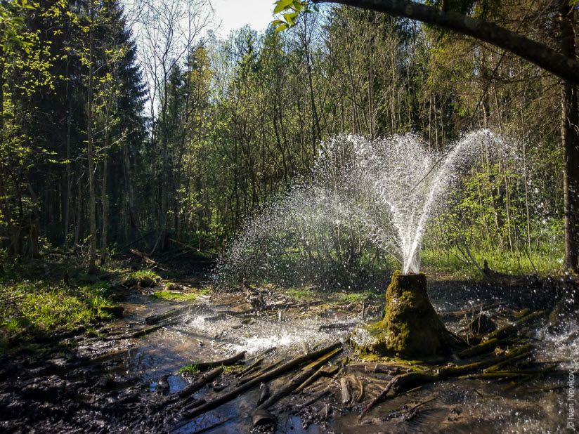 Гатчинские гейзеры
