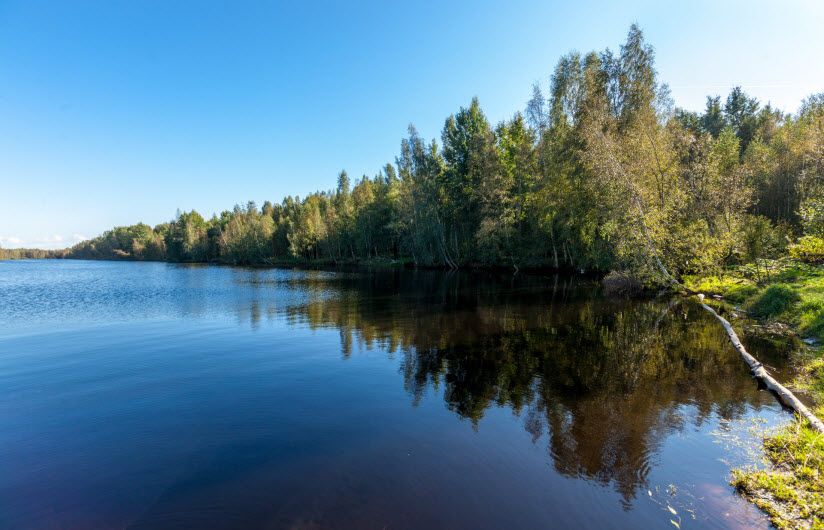 Юнтоловский заказник