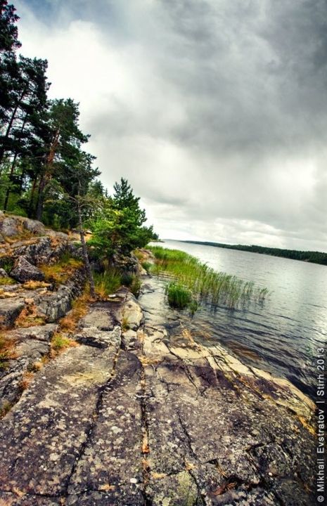 Медвежий остров