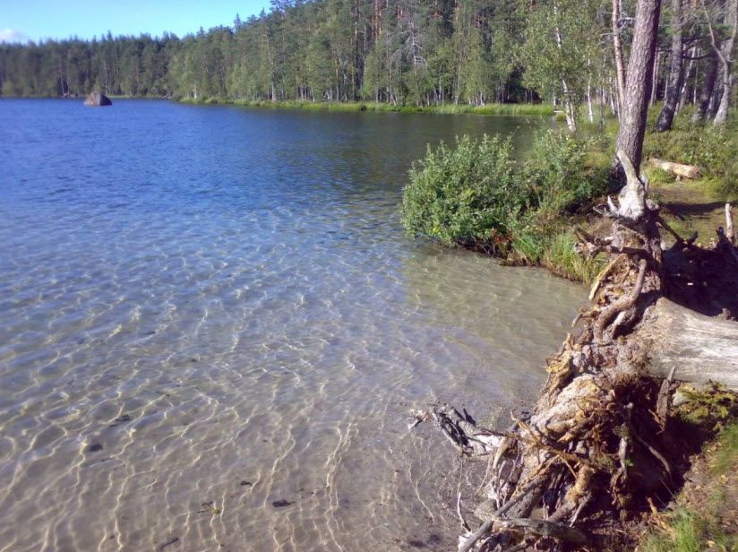 Невское озеро