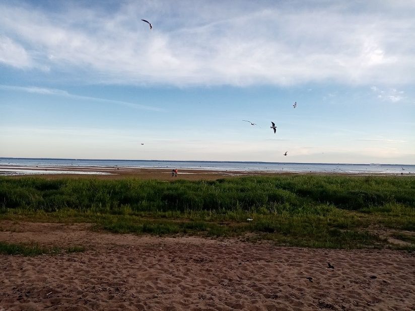 Пляж Морские Дубки
