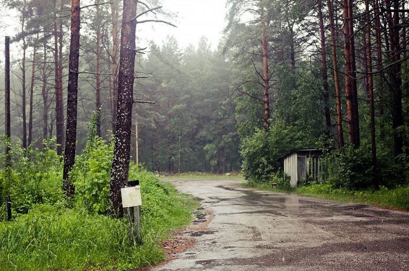 Свирский заповедник