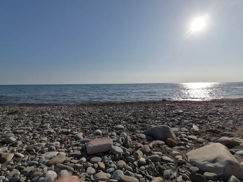 Кипарис