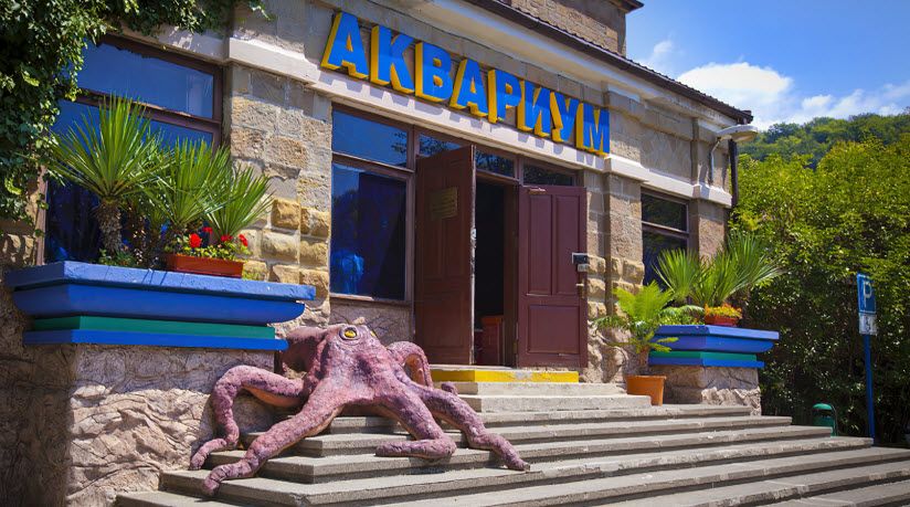 Аквариум