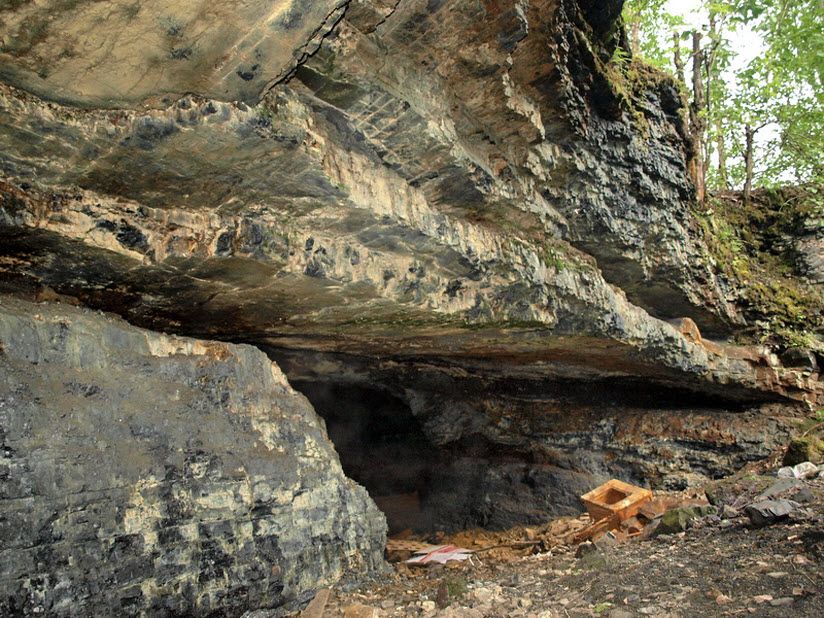 Шунгитовый разрез