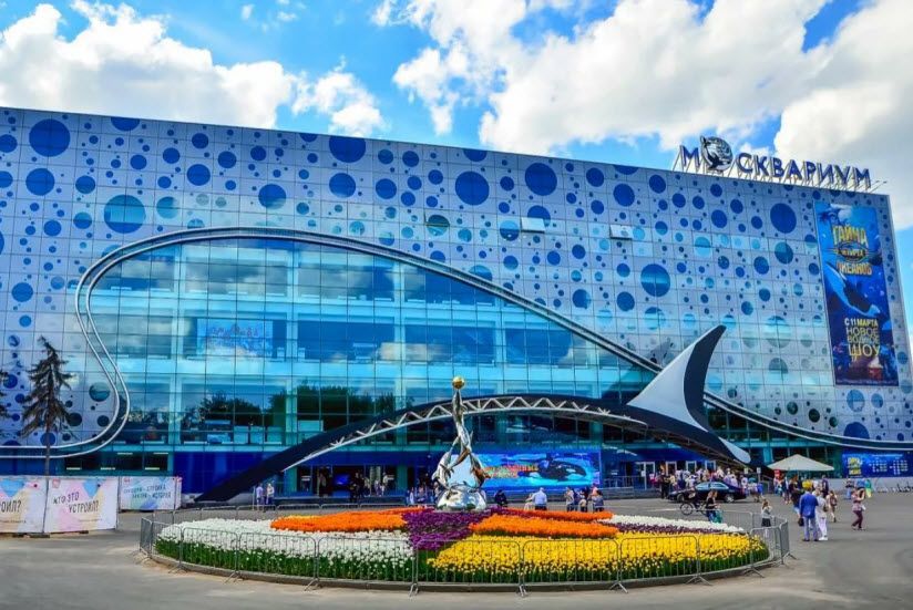 ТОП-7 лучших океанариумов Москвы: куда сходить