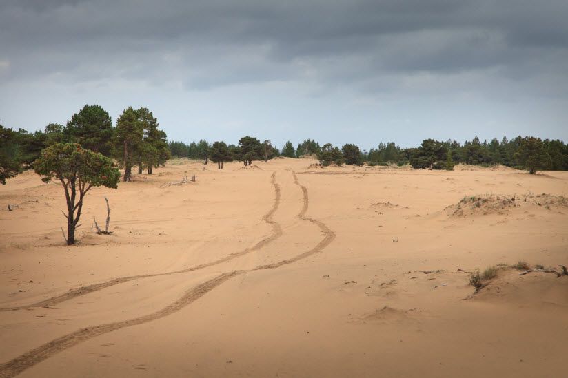 Кузоменьские пески