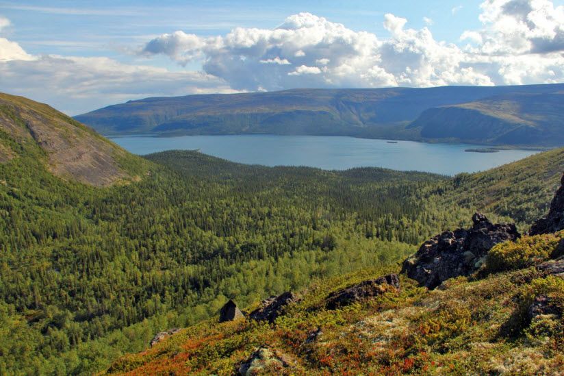 Лапландский заповедник