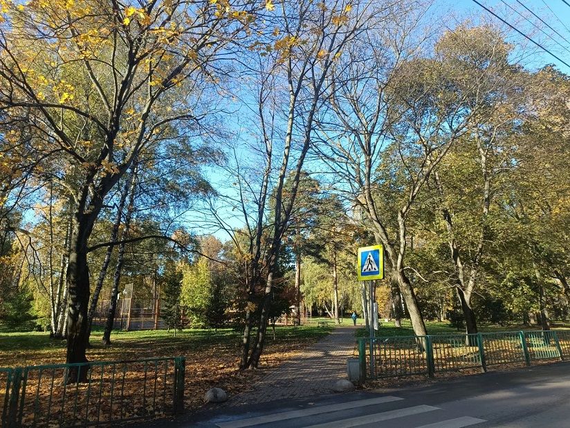 Тайнинский парк