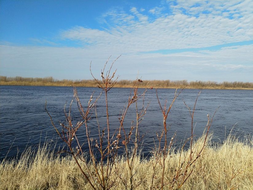 Река Ома