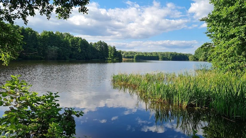 Глуховский парк