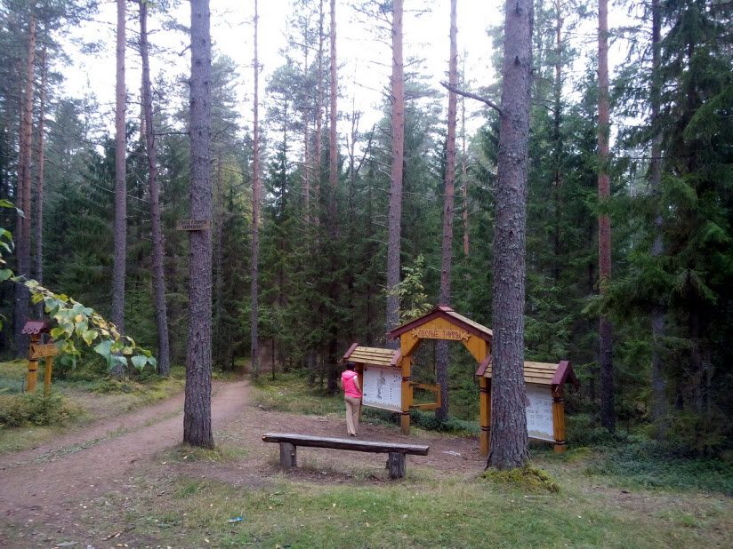 Соколовские ключи
