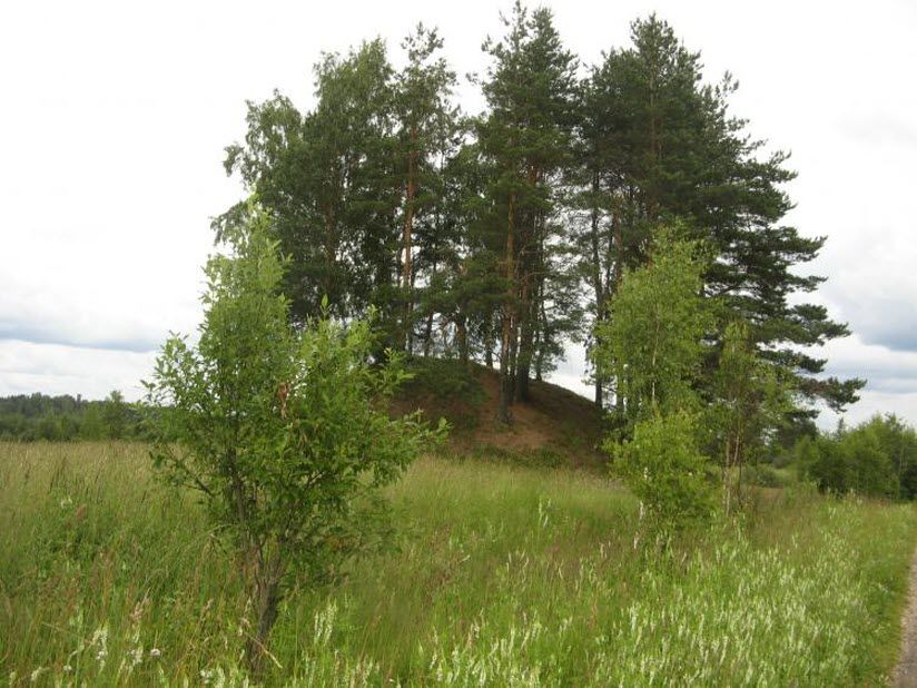 Курганный комплекс у Перетны