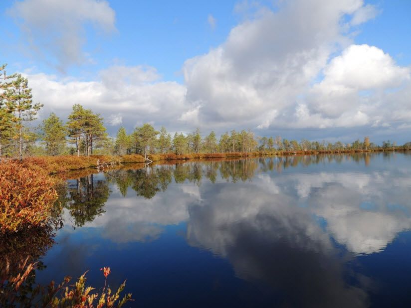 Рдейский заповедник