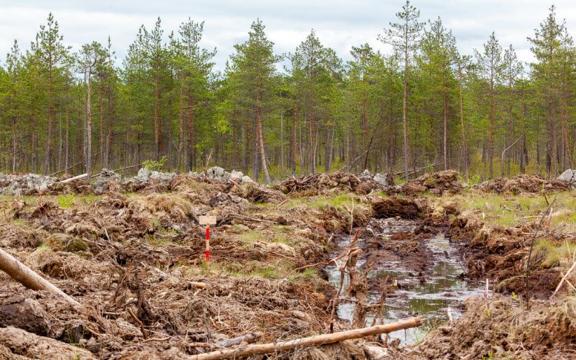 Долина смерти