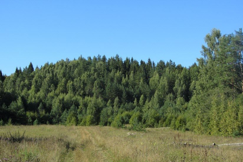 Холмы Бальдазары