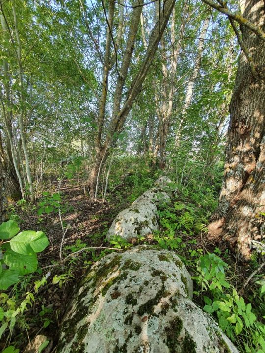 Коломовский круг