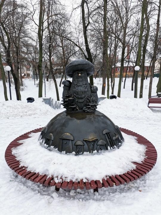 Грибы с глазами