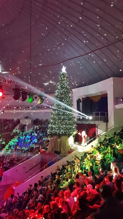 Тульский цирк