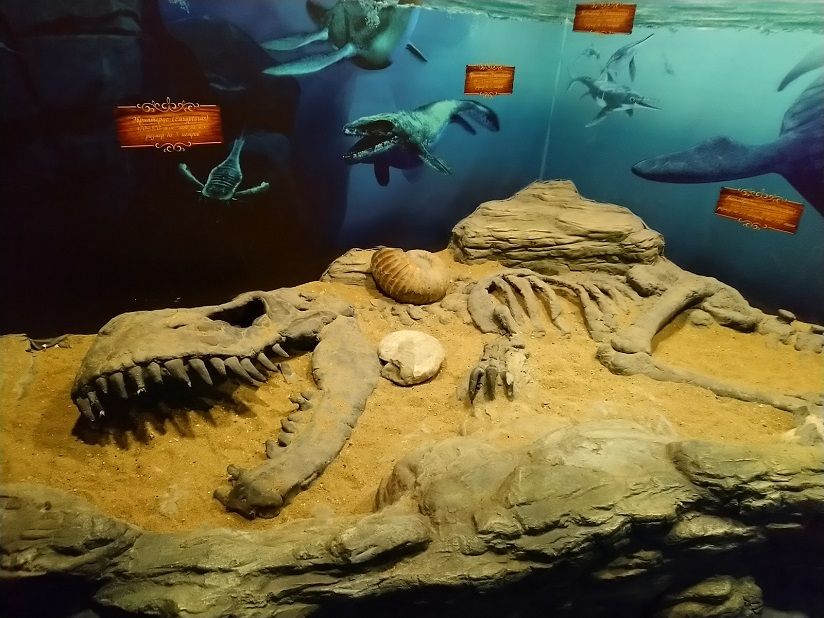 Волгоградский океанариум