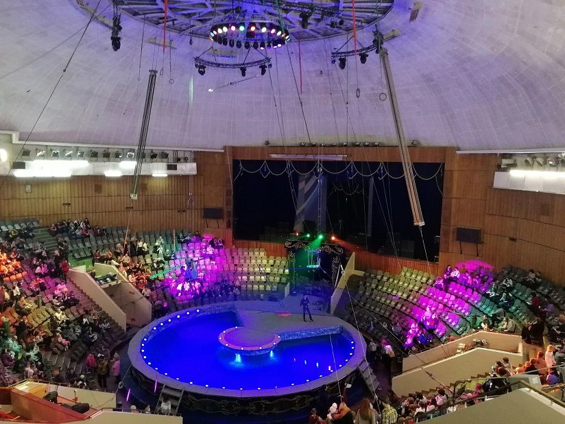 Волгоградский цирк