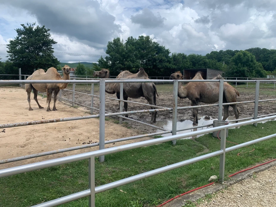 Парк живой природы «До-До»