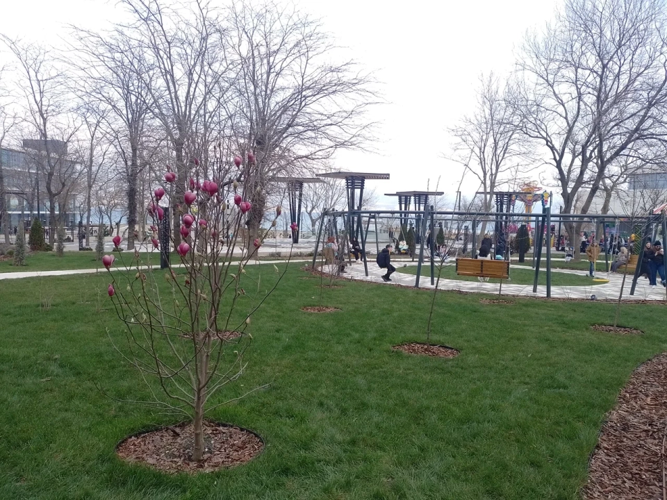 Парк имени Фрунзе