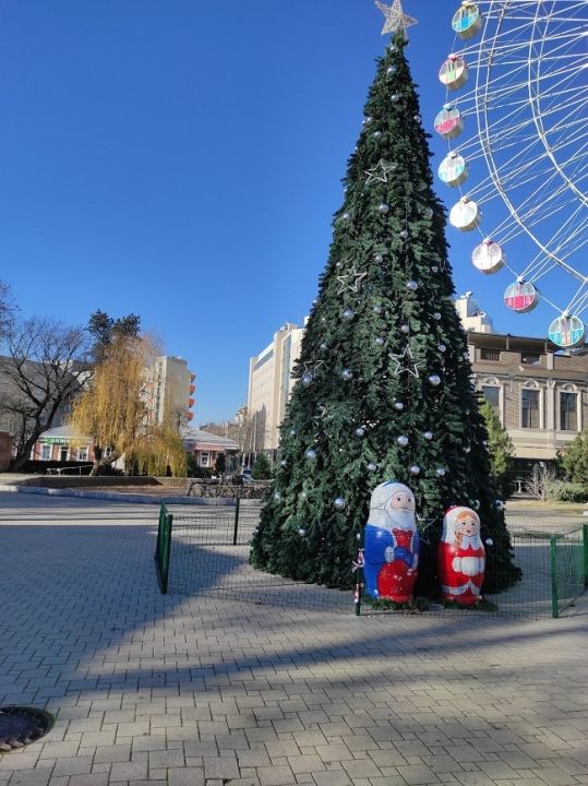 Городской сад