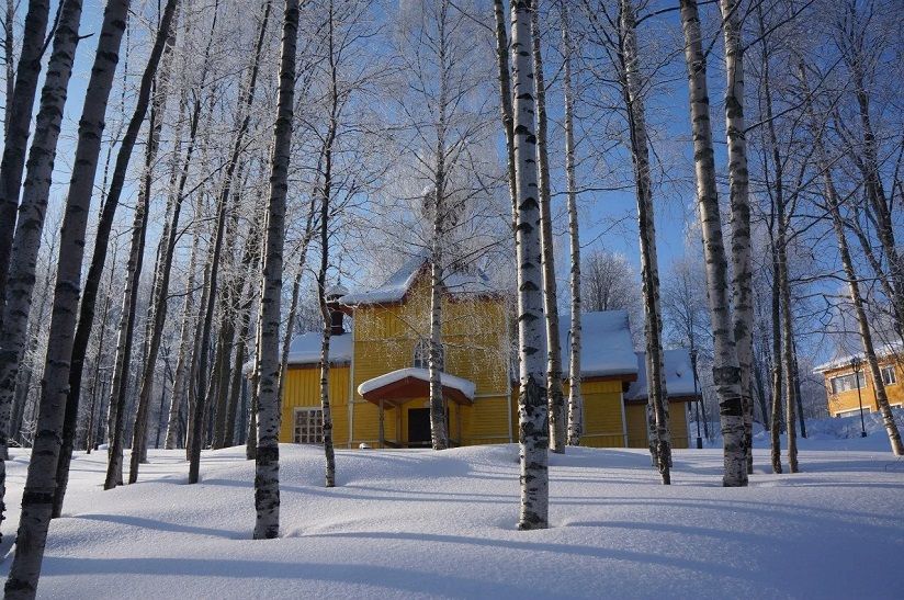 Спа-отель «Дворцы» (курорт «Марциальные воды»)