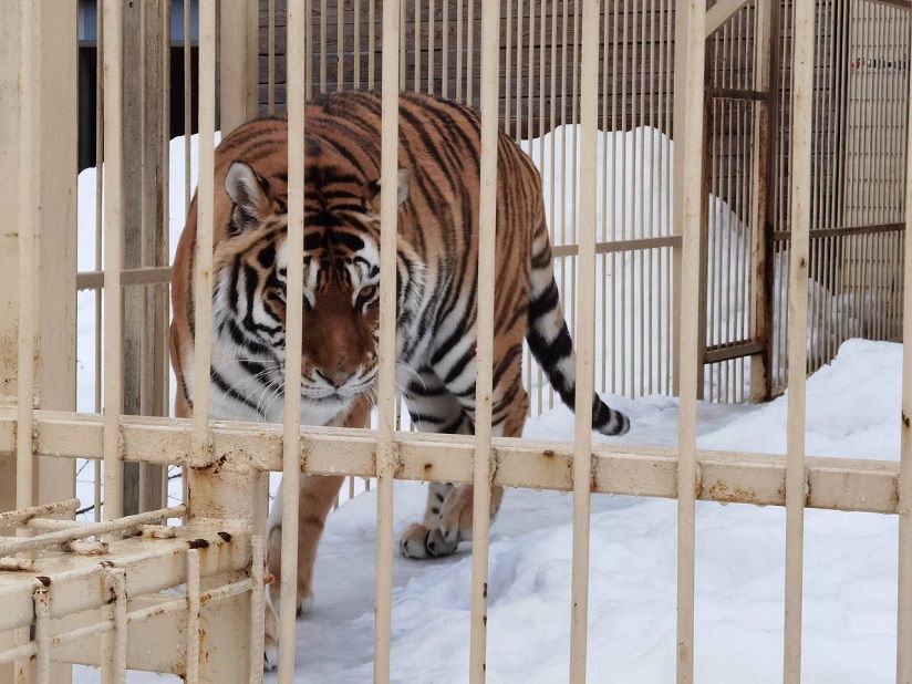 Киркколахти