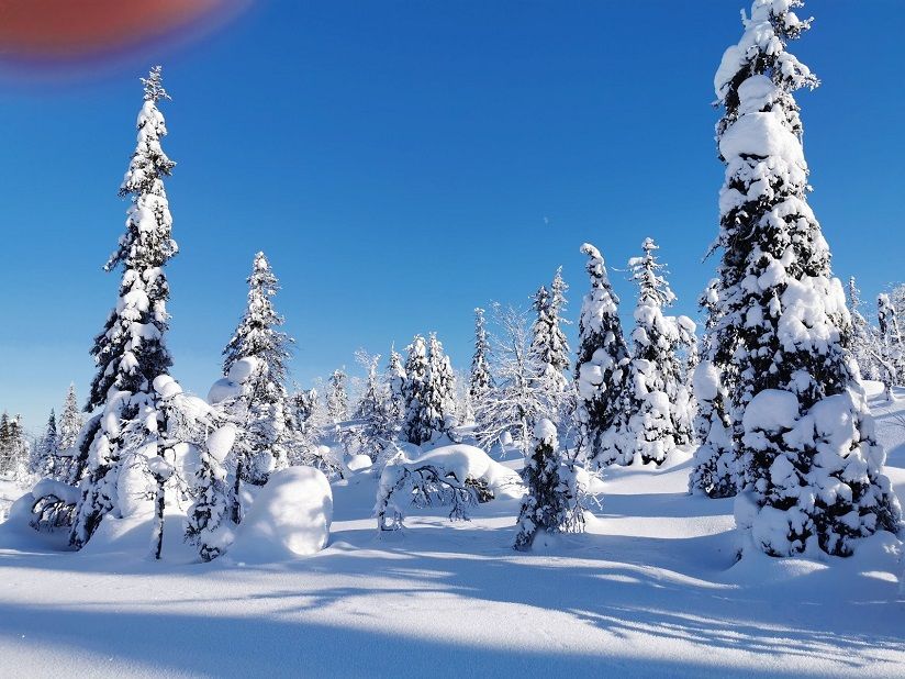 Парк Паанаярви