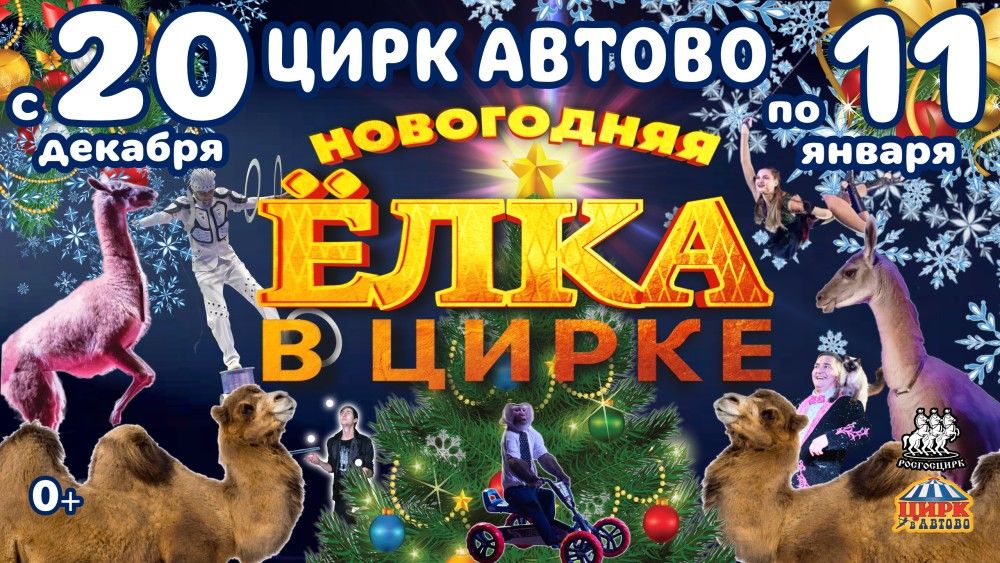 Елка в цирке