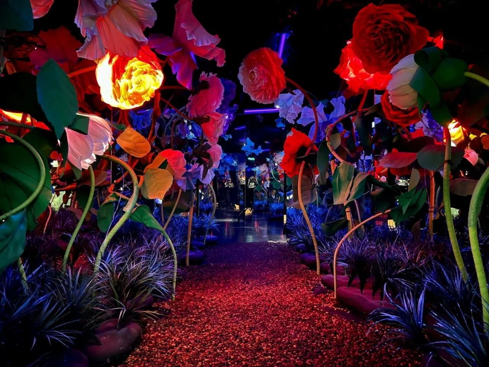 Центр развлечений Magic Park