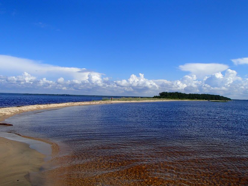 Челмужская коса