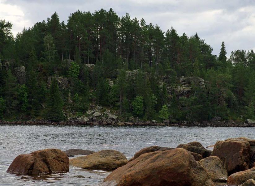 Южный Олений остров