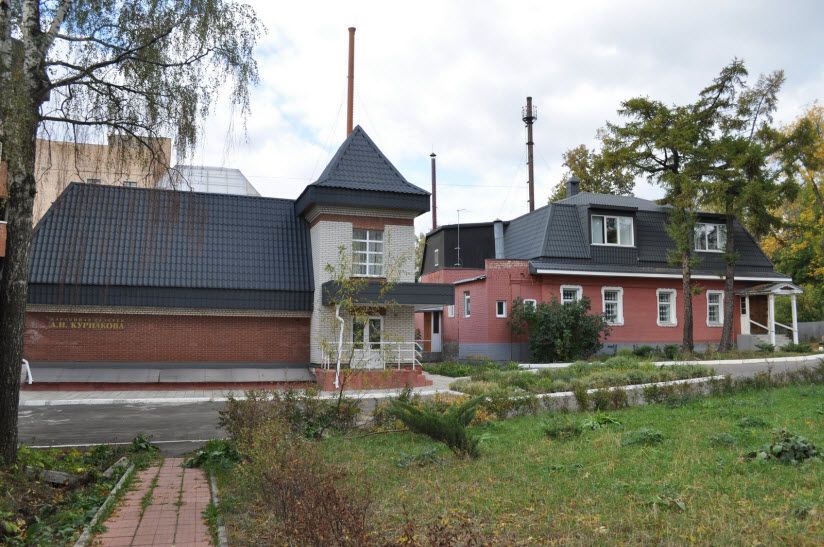Галерея народного художника Курнакова