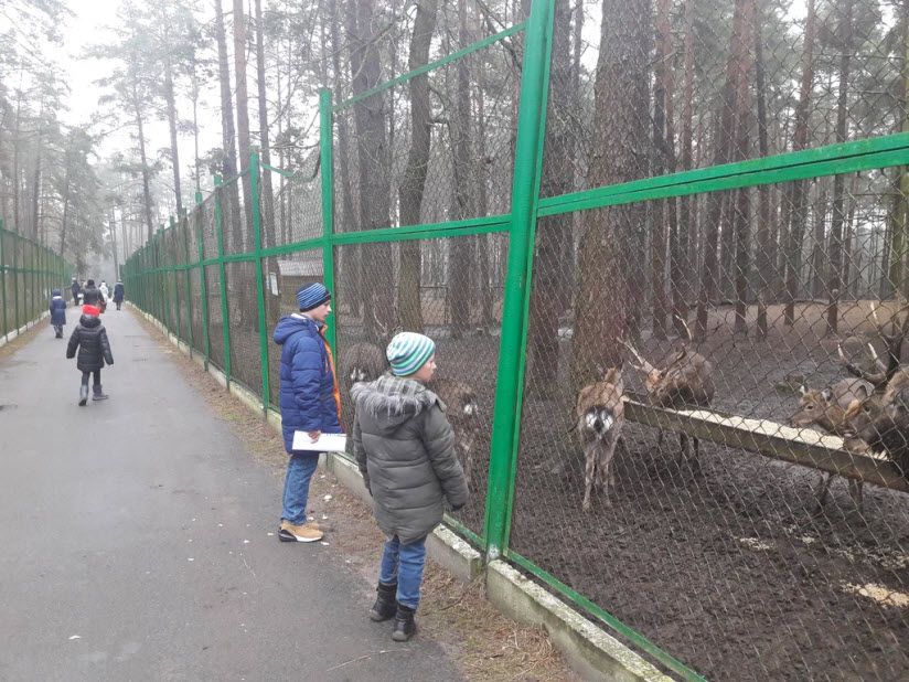 Зоовольерный комплекс Хотынецкого природного парка