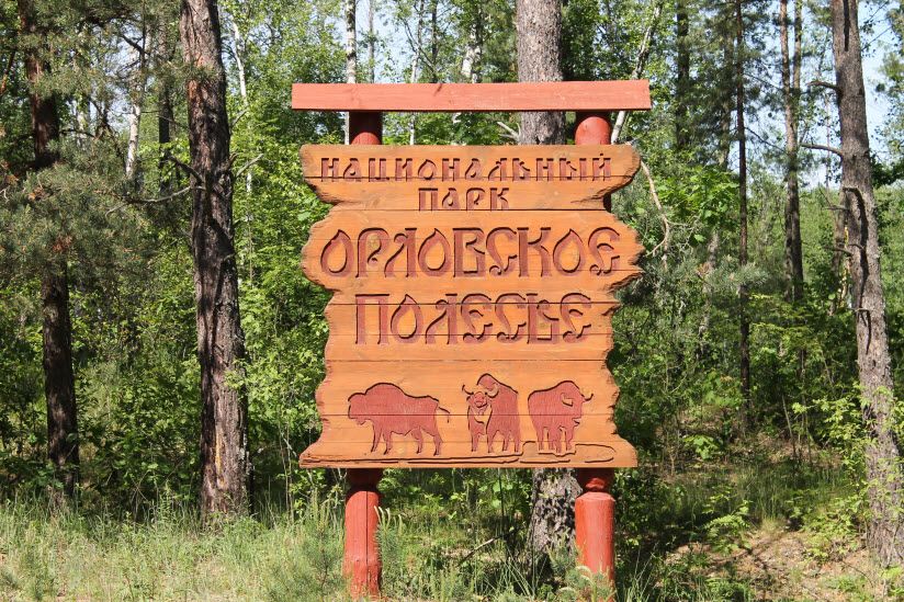 Орловское полесье
