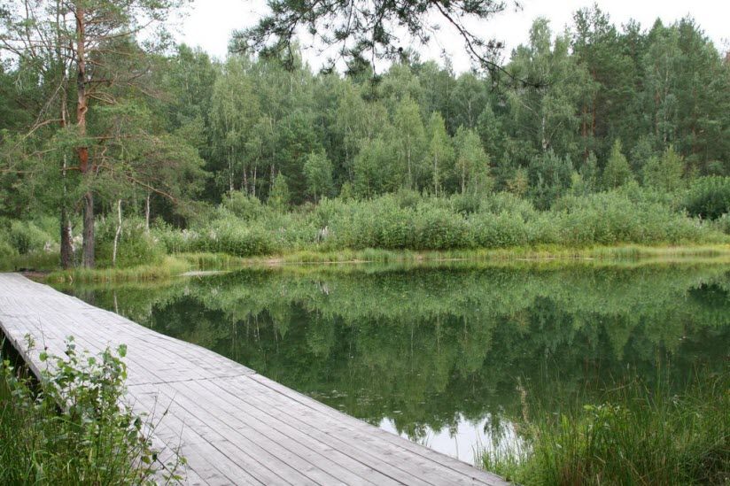Озеро Центральное