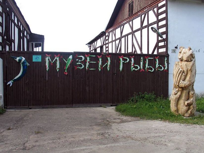 Музей рыбы