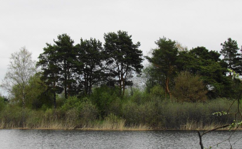 Остров Фомичёв