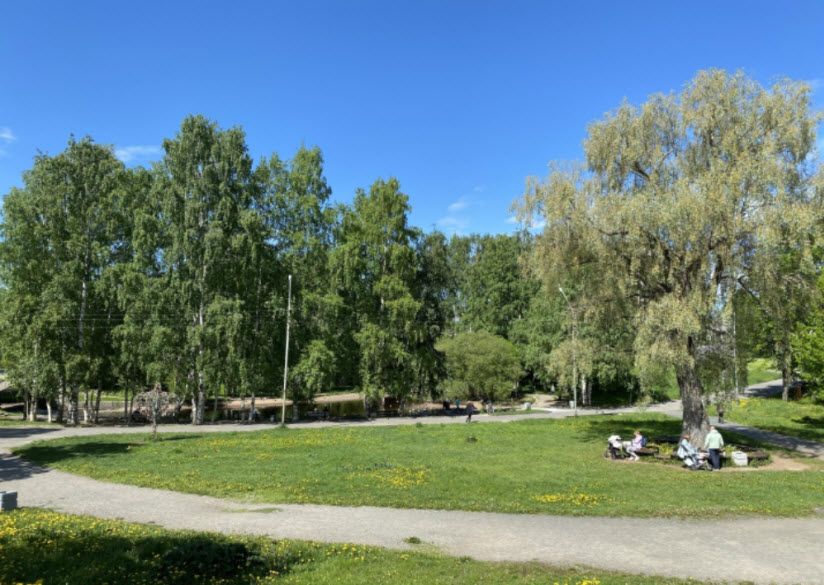 «Парк 50-летия ВЛКСМ» и «Лес Победы»