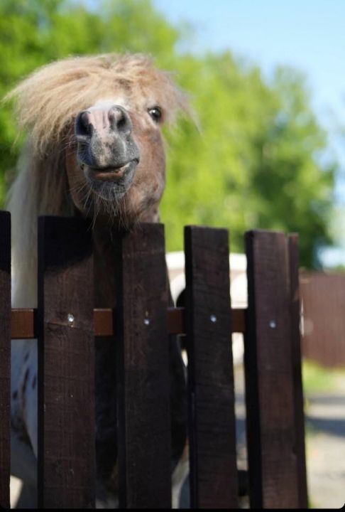 ЭкоПарк ПКиО