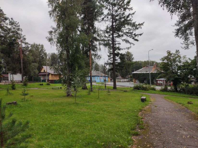 Летний сад