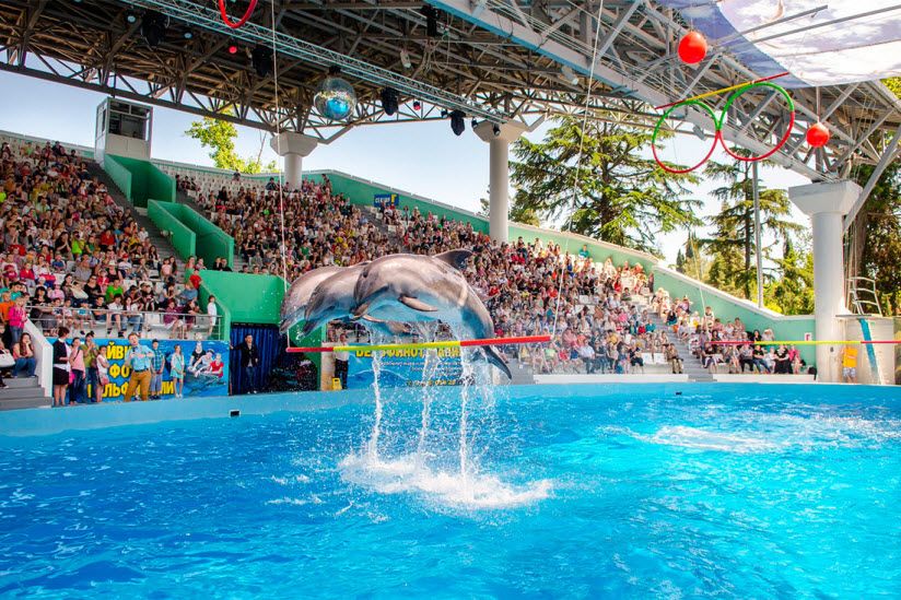 Большой сочинский дельфинарий «Ривьера»