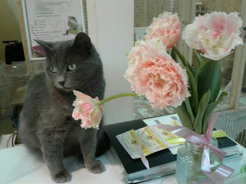 Зооцентр «Моя маленькая ферма»