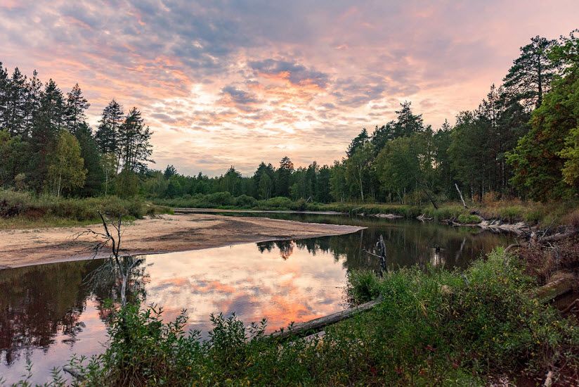 Национальный парк Мещерский